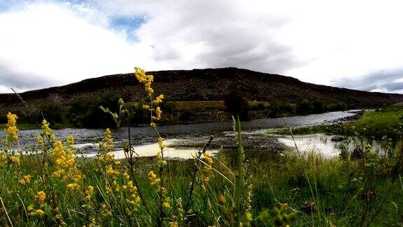 摇动美丽的黄色在风的背景下悠闲流动蒙古水晶清澈的河流在一个广阔的草原