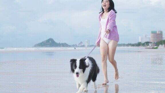 一个小女孩带着宠物在热带海边的沙滩上散步