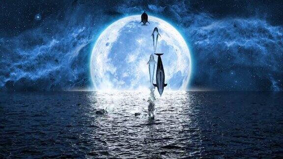 在大月亮的背景下跳跃的海豚