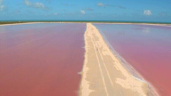 快乐的女孩沿着美丽的粉红色湖泊在沙堤上旋转和行走