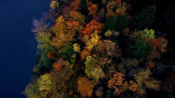 色彩缤纷的秋天森林和蓝色的河流空中无人机的顶部视图