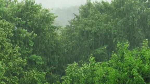 大雨滂沱狂风呼啸