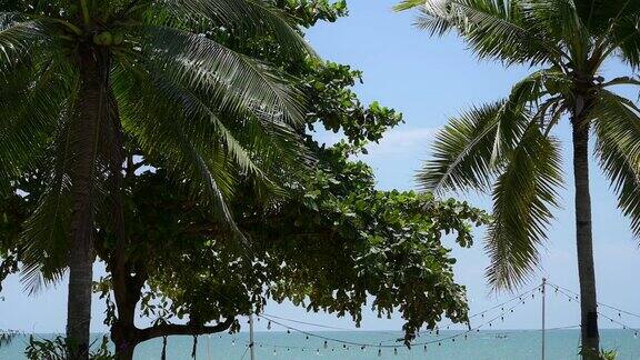 阳光明媚的日子里通过椰子树欣赏热带海滩棕榈树摇曳的慢动作场景