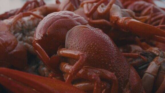 煮红蟹准备煮
