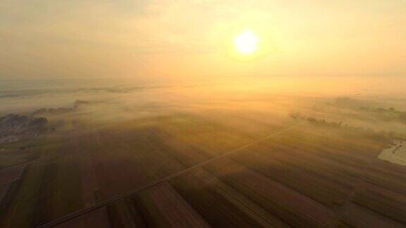清晨雾中的空中田野