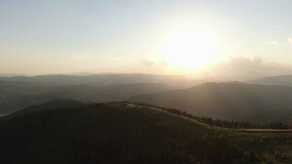 夕阳金色的山谷日落的观点在陡峭的山峰底部的山谷中浓密的彩色白杨树林
