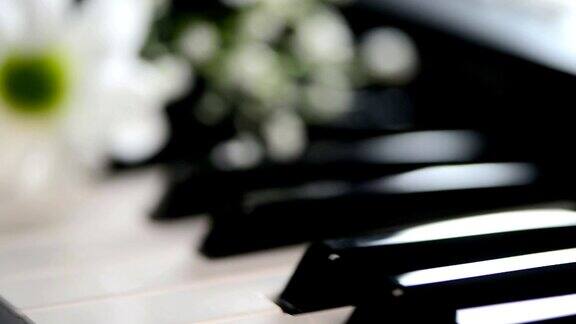 用钢琴琴键弹奏雏菊