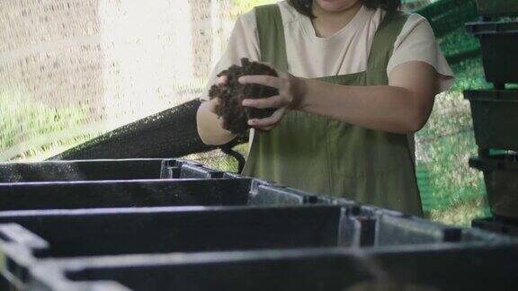 一名妇女正在研究蚯蚓堆肥肥料