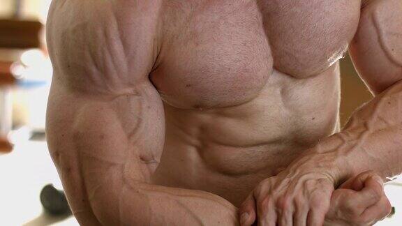 肌肉的躯干强壮的男人的躯体