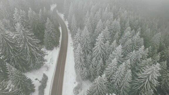 无人机飞过道路树梢和森林