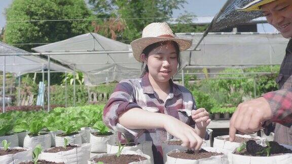 亚洲人在蔬菜园里种植幼苗