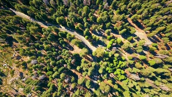 红杉国家公园鸟瞰图