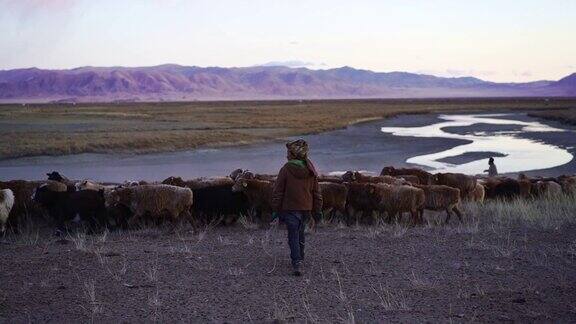 日落时分一个男孩在蒙古的牧场上放羊