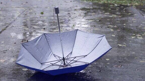 在雨季雨点不断地落在伞上