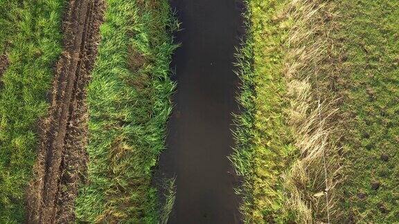 从近景到topview的草地之间的沟渠鸟瞰图