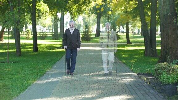 两个老朋友在公园散步都消失了死亡观念损失