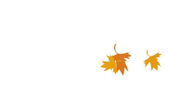 秋天的枫叶落下简单的叶设计与白色背景的复制空间