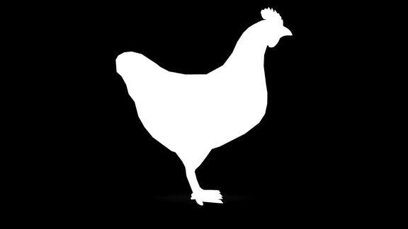 黑色背景上等待的鸡的剪影动物野生动物游戏回到学校3d动画短视频电影卡通有机色度键角色动画设计元素循环