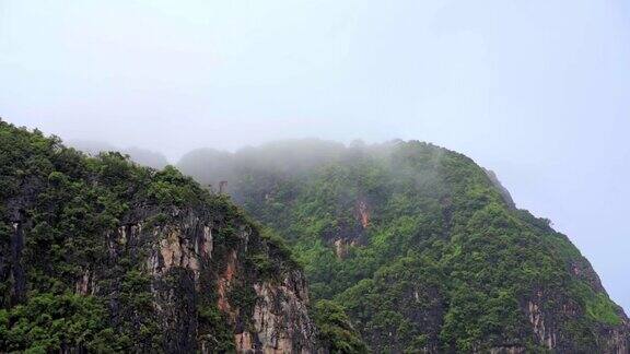 泰国山顶上的森林树木充满了雾