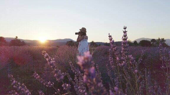 美丽女人的SLOMO是在日落薰衣草花的照片