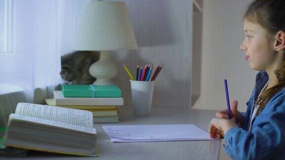 一个小学生做作业她的宠物猫坐在桌子旁边