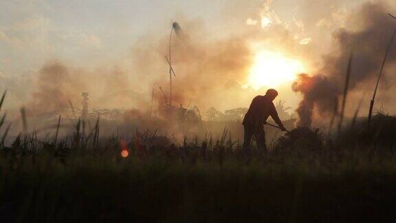 在巴厘岛乌布农民和妇女的剪影在稻茬燃烧的烟雾中经过