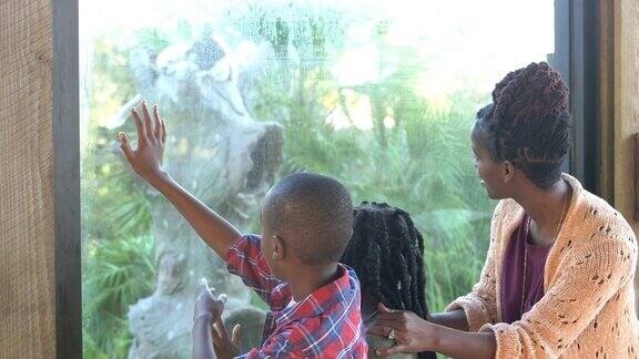 非裔美国儿童和母亲在动物园里