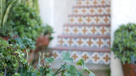 多肉植物在花盆园艺在美国加利福尼亚州温室植物陶罐墨西哥园林设计干旱沙漠装饰花卉植物观赏绿化楼梯上的彩色瓷砖