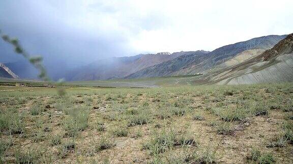 风在草地在喜马拉雅山脉背景印度