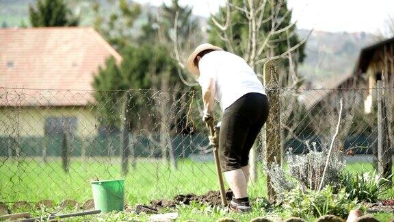 高级妇女在做园艺工作