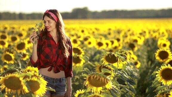 迷人的女孩闻着田里的向日葵花