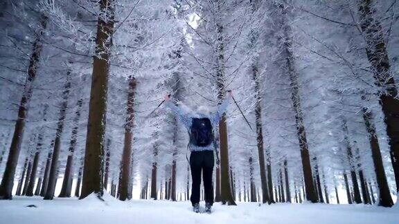 在冬季森林中行走的女性徒步旅行者