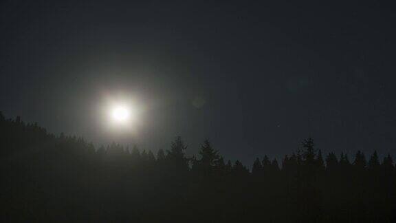 森林上空的月亮升起