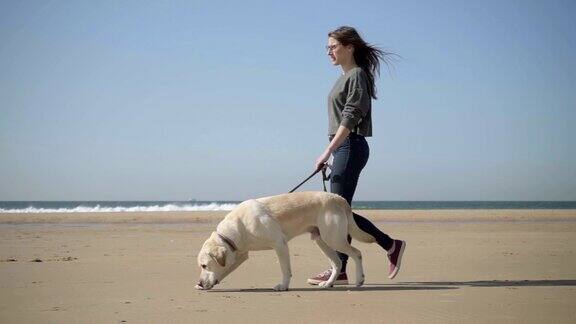 悠闲的戴眼镜的女人和狗在海边散步