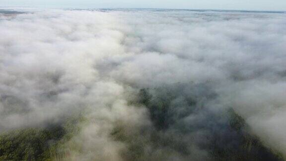 秋天的浓雾笼罩着绿色的森林无人机在自然景观上空飞行