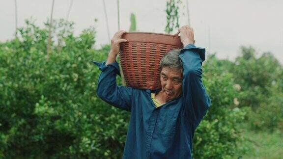 农民们在自己的花园里提篮子
