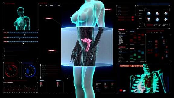 放大女性身体扫描子宫在数字显示仪表盘
