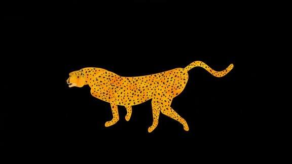 猎豹猎豹奔跑的动画动画