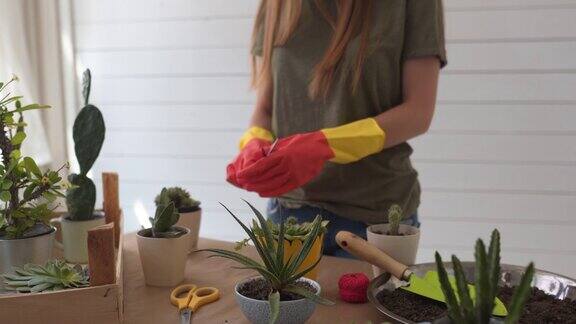 在植物学工作之前一个女人在测试她的设备