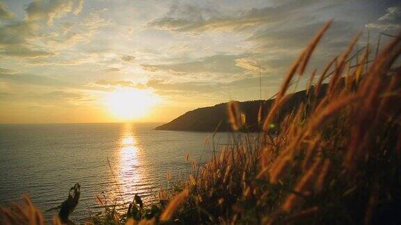 草在风中摇曳背景是海上的夕阳