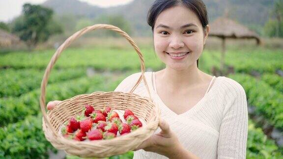 去草莓农场摘草莓来度假