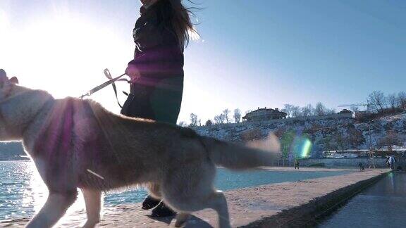 年轻女子在海上码头上与西伯利亚哈士奇狗玩耍
