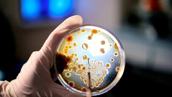 让刮痧成为细菌的菌落