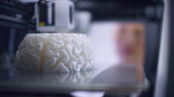 白人女性生物医学工程师在3D打印机中忽略了大脑模型的构建