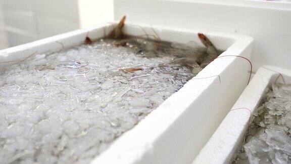 新鲜生虾冰和水在白色容器
