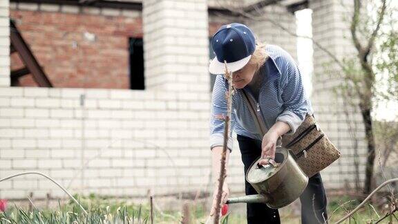 园丁女人浇花床从浇壶而园艺工作