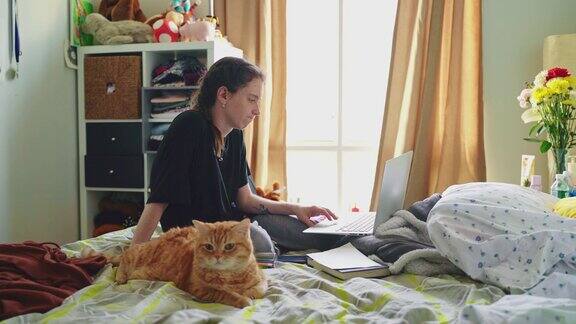 十多岁的女孩一名大学生坐在自己房间的床上抚摸着猫用笔记本电脑工作