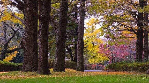 秋天的色彩在公园里