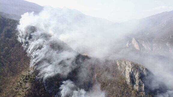 空中拍摄的森林浓烟覆盖了整个地区