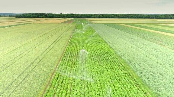 空中农业洒水器为绿色植物浇水